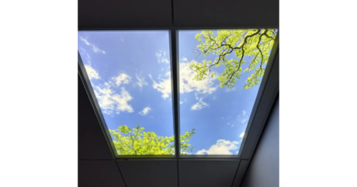 Takfönster med ljusblå himmel och trädgrenar.